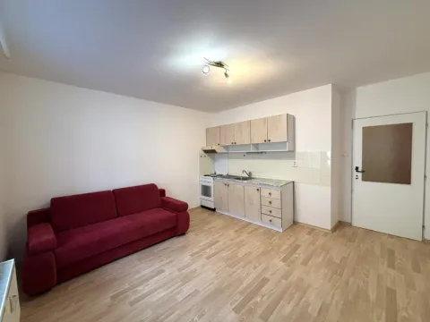Pronájem bytu 2+kk, České Budějovice, Riegrova, 42 m2