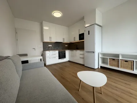 Pronájem bytu 2+kk, Rostěnice-Zvonovice - Rostěnice, 39 m2