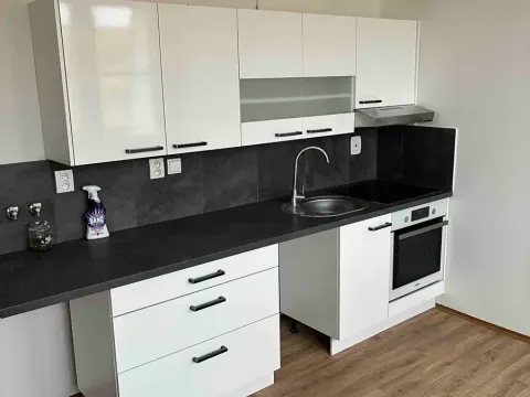 Pronájem bytu 1+1, Děčín, Dvořákova, 43 m2