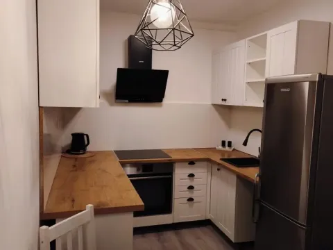 Pronájem bytu 1+1, Litvínov - Hamr, Přátelství, 39 m2