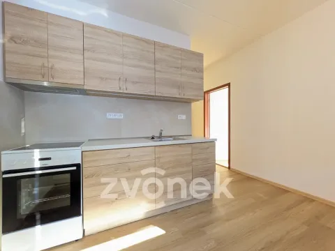Pronájem bytu 2+1, Vsetín, Dolní Jasenka, 43 m2