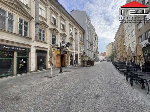 Pronájem obchodního prostoru, Brno, Orlí, 38 m2
