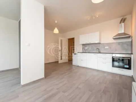 Pronájem bytu 2+kk, Praha - Žižkov, Olgy Havlové, 43 m2
