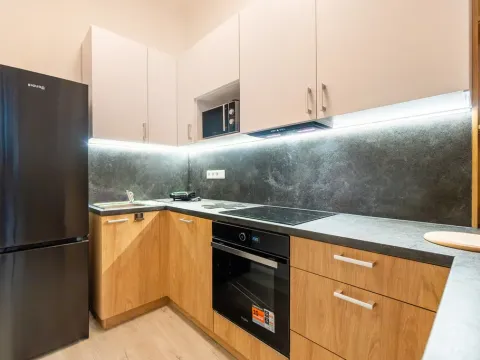 Pronájem bytu 1+kk, Ústí nad Labem - Střekov, Žukovova, 41 m2