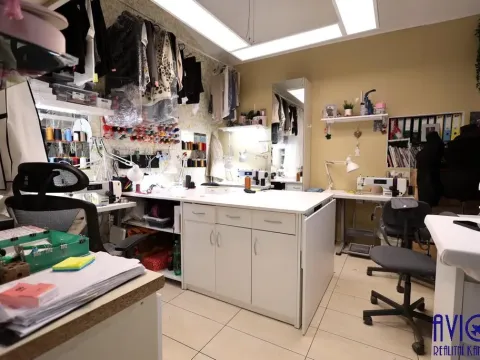 Pronájem obchodního prostoru, Praha - Karlín, Křižíkova, 22 m2