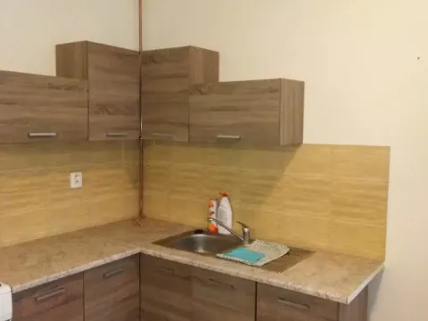 Pronájem bytu 1+1, Prostějov, 42 m2