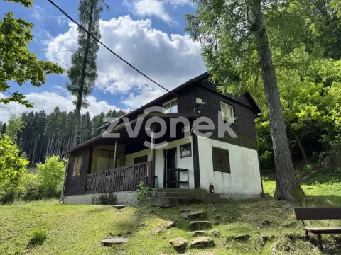 Prodej - jiné, Rusava, 53 m2