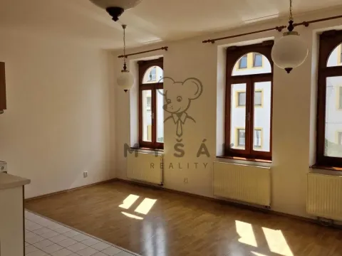 Pronájem bytu 2+kk, České Budějovice, Holečkova, 56 m2