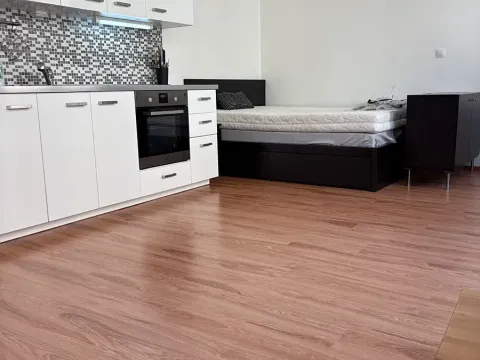 Pronájem bytu 1+kk, Praha - Nusle, Bartoškova, 36 m2