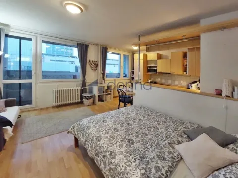 Pronájem bytu 1+kk, Praha, Hvězdova, 38 m2