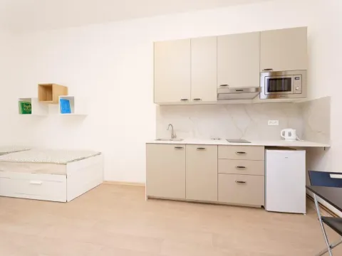 Pronájem bytu 1+kk, Praha - Libeň, Kolčavka, 335 m2