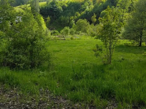 Prodej pozemku pro bydlení, Merklín, 1000 m2