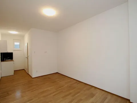 Pronájem bytu 1+kk, Pardubice - Rosice, generála Svobody, 21 m2