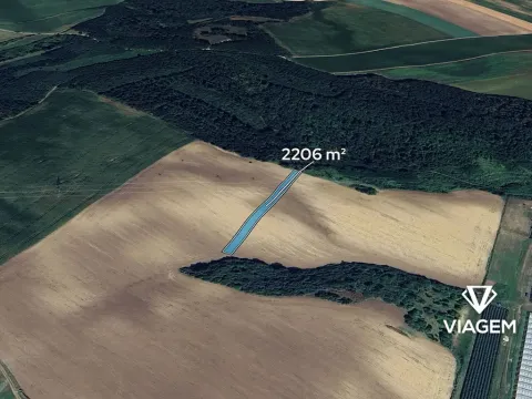 Prodej pole, Hovorany, 2206 m2