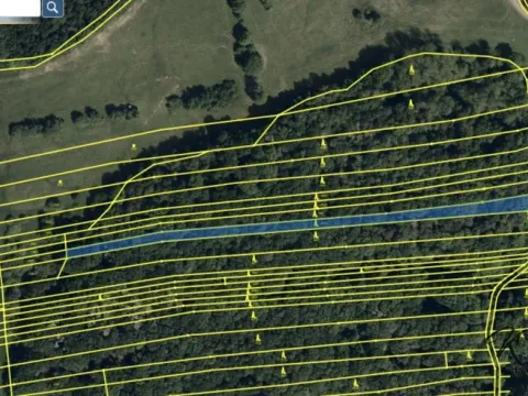 Prodej lesa, Hradčovice, 2504 m2