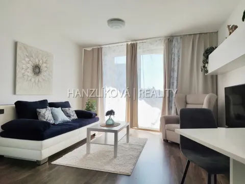 Pronájem bytu 2+kk, České Budějovice - České Budějovice 3, Jírovcova, 56 m2