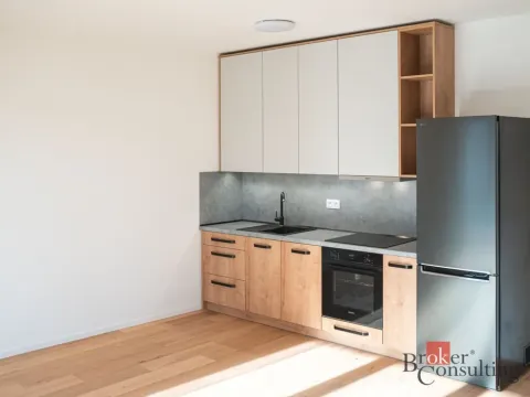 Pronájem bytu 1+kk, Brno - Zábrdovice, Bratislavská, 35 m2