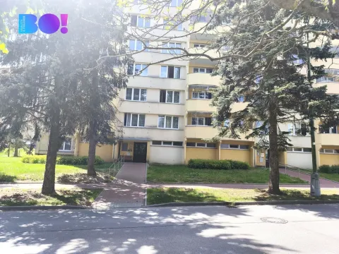 Prodej bytu 3+1, Pelhřimov, Dolnokubínská, 51 m2