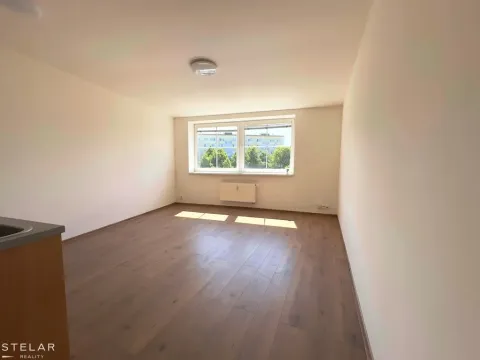 Pronájem bytu 1+kk, Opava, Hálkova, 33 m2