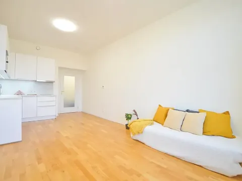 Pronájem bytu 1+kk, Praha - Vinohrady, Španělská, 28 m2