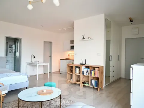 Pronájem bytu 1+kk, Brno, 40 m2