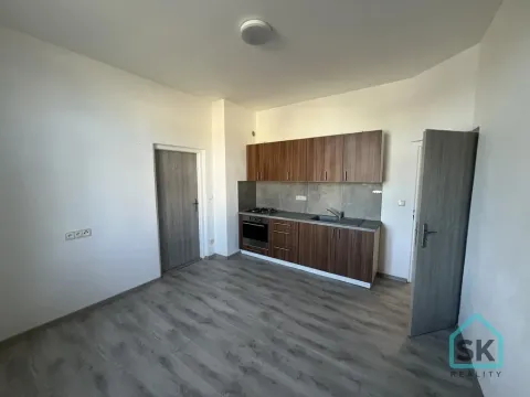 Prodej bytu 1+1, Krnov - Pod Bezručovým vrchem, K Můstku, 52 m2