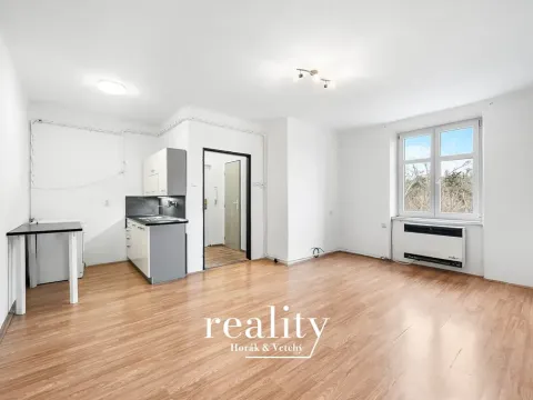 Pronájem bytu 1+kk, Znojmo, Růženy Svobodové, 31 m2