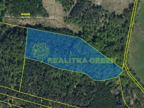 Prodej lesa, Sopřeč, 20160 m2