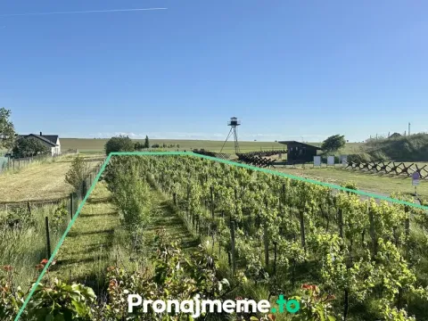 Pronájem - jiné, Šatov, 1759 m2