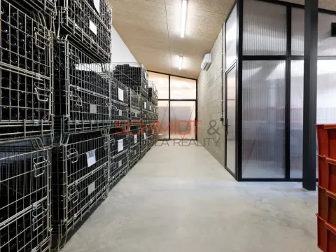 Pronájem obchodního prostoru, Břeclav, Pyskatého, 146 m2