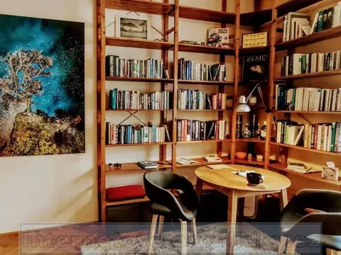 Pronájem bytu 1+1, Praha - Staré Město, 30 m2