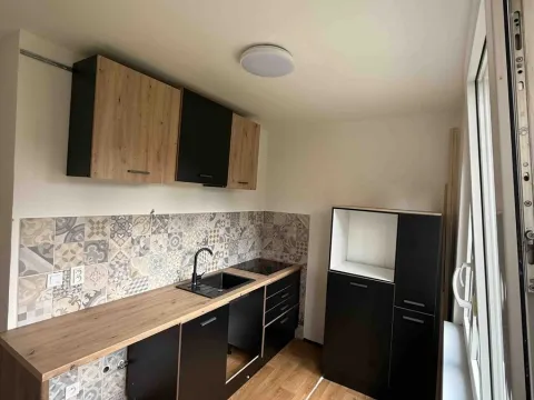 Prodej bytu 2+1, Bílina, M. Švabinského, 53 m2