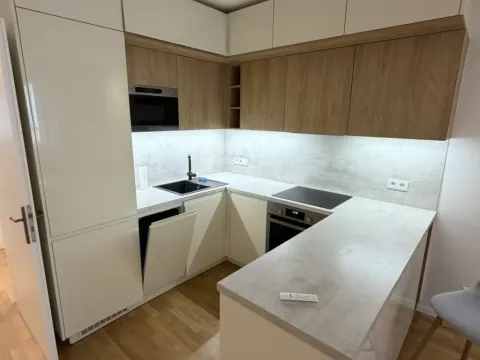 Pronájem bytu 2+kk, Praha - Žižkov, Víta Nejedlého, 48 m2
