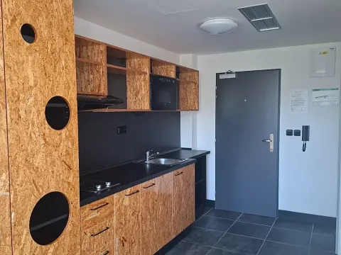 Pronájem bytu 1+kk, Praha, Pod altánem, 33 m2