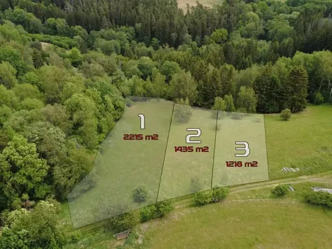 Prodej pozemku pro bydlení, Planá, 1218 m2