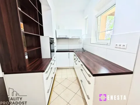 Pronájem bytu 1+kk, Tursko, Ke Statkům, 50 m2