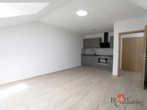 Pronájem bytu 3+kk, Plzeň - Jižní Předměstí, Palackého, 60 m2