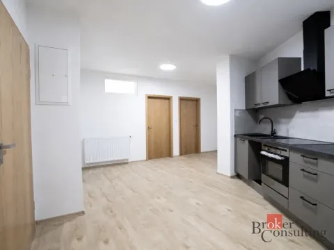 Pronájem bytu 2+1, Plzeň - Jižní Předměstí, Palackého, 52 m2