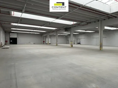 Pronájem výrobních prostor, Říčany, U Sanitasu, 11000 m2