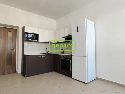 Pronájem bytu 2+kk, Brno - Husovice, Svitavská, 44 m2
