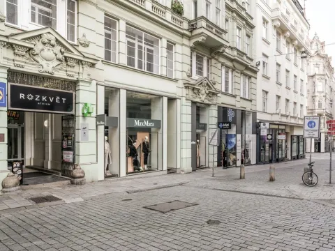 Pronájem bytu 1+kk, Brno - Brno-město, Panská, 39 m2