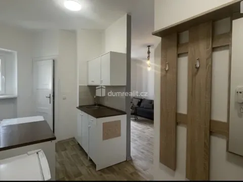 Pronájem bytu 2+kk, Ústí nad Labem, Palachova, 47 m2