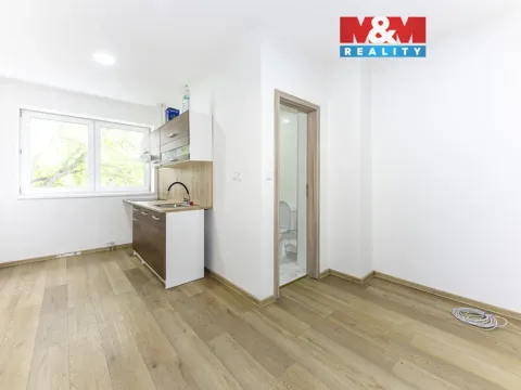 Pronájem rodinného domu, Velim, třída Krále Jiřího, 280 m2