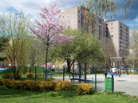 Prodej bytu 3+1, Sokolov, Jiřího z Poděbrad, 72 m2