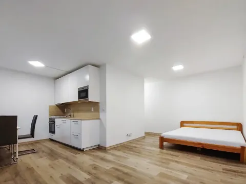 Pronájem bytu 1+1, Most, Brněnská, 38 m2