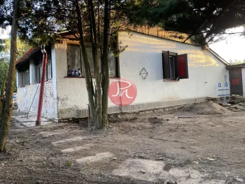 Prodej chalupy, Svojetice, Slepá, 90 m2