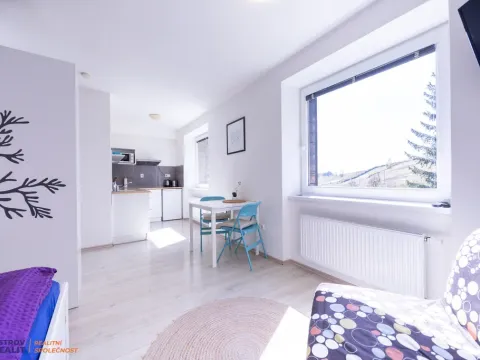 Prodej bytu 1+kk, Staré Město - Stříbrnice, 30 m2