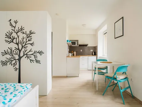 Prodej bytu 1+kk, Staré Město - Stříbrnice, 30 m2