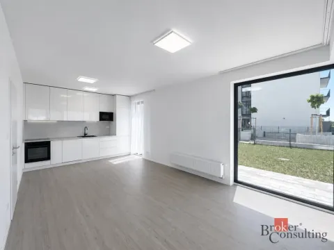 Pronájem bytu 2+kk, Plzeň - Jižní Předměstí, Železná, 55 m2