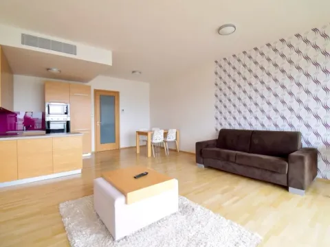 Pronájem bytu 1+kk, Brno - Stránice, Bohuslava Martinů, 50 m2